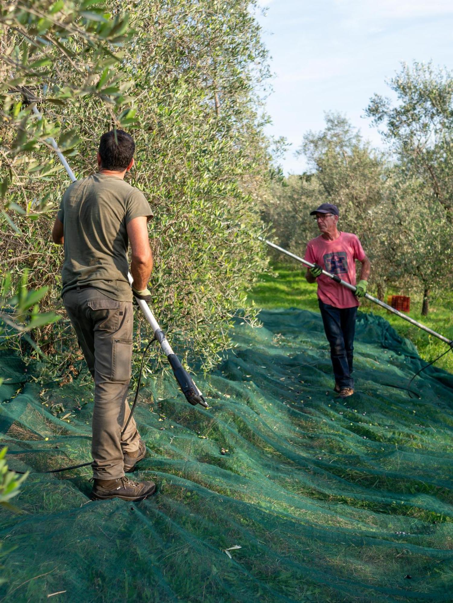 Farm stay Podere Le Mezzelune Bibbona
